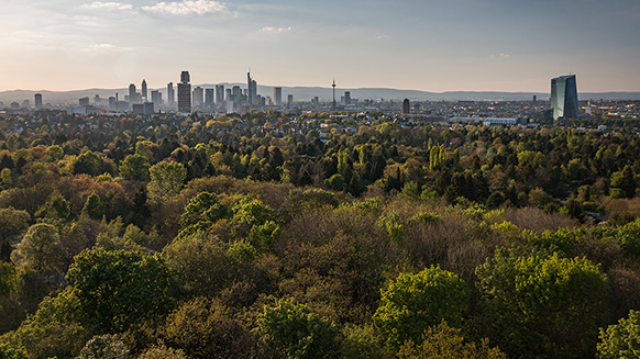 Skyline von Frankfurt mit grünem Umland | Quelle: © A. Emson via Adobe Stocks