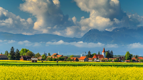 Dorf mit Rapsfeld im Vordergrund und Bergen im Hintergrund | Quelle: © janoka82 / Adobe Stock